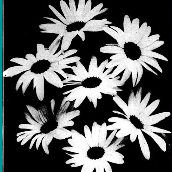 Meet your Posher, Allie - Picture 1 of 1